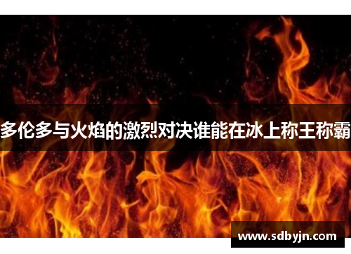 多伦多与火焰的激烈对决谁能在冰上称王称霸